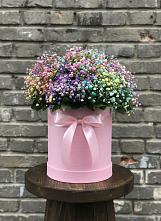 Цветочная композиция из Гипсофила и Розы в шляпной коробке #REPLACE_PRED# Кедровом Красноярского края