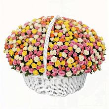 Премиум букет из: Розы #REPLACE_PRED# Кедровом Красноярского края