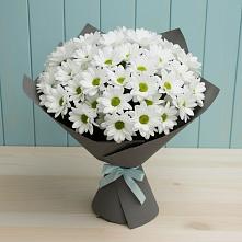 Букет цветов из:  Хризантемы #REPLACE_PRED# Кедровом Красноярского края