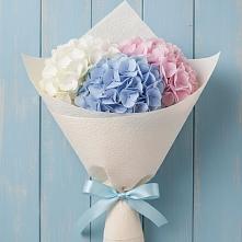 Букет цветов из:  Гортензия в Кедровом Красноярского края