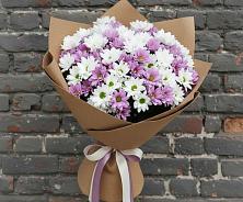 Букет цветов из:  Хризантемы #REPLACE_PRED# Кедровом Красноярского края