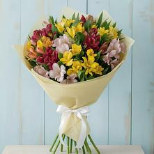 Букет цветов из:  Альстромерии в Кедровом Красноярского края