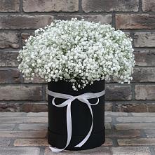Цветочная композиция из Гипсофила в шляпной коробке в Кедровом Красноярского края