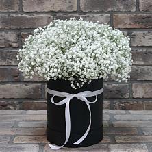 Цветочная композиция из Гипсофила в шляпной коробке в Кедровом Красноярского края