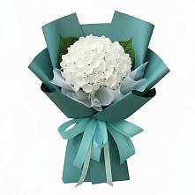 Букет цветов из:  Гортензия в Кедровом Красноярского края